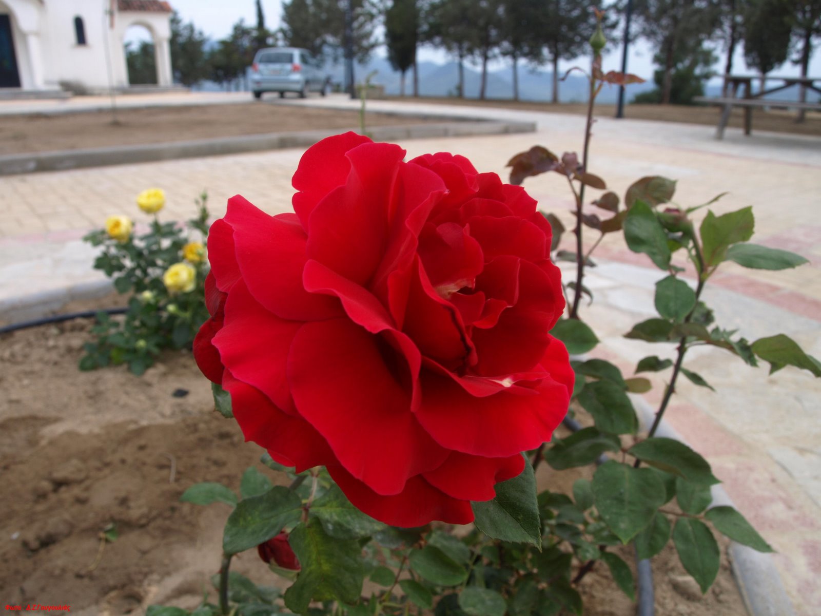[P1014718.JPG]