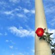 [vertical_flower.jpg]