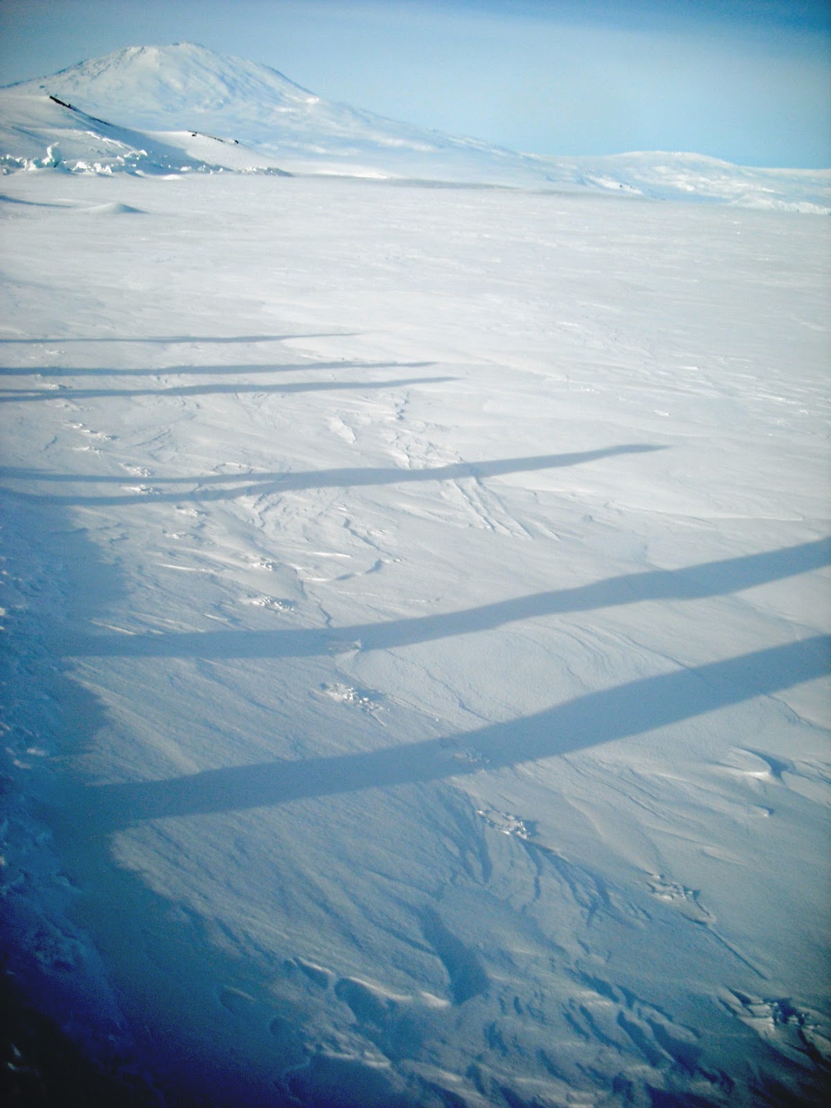 Life on the Ice: The Pressure Ridges