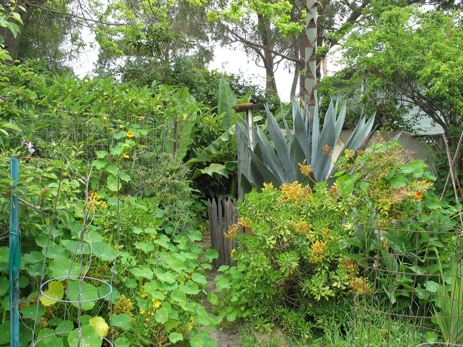 music and other writing