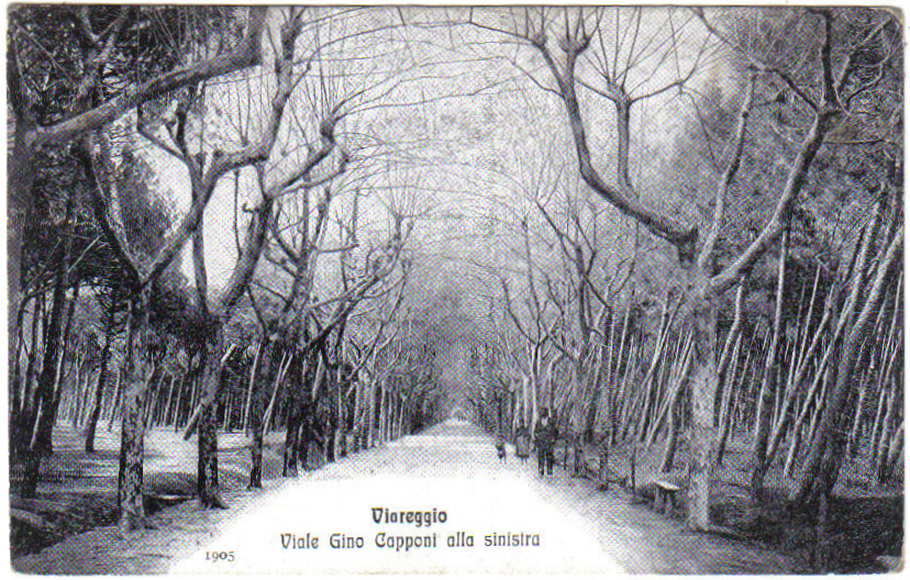 [1905+1.jpg]