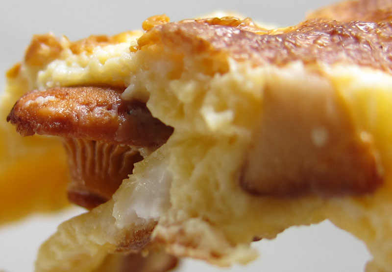 the indolent cook a taste of the forest chanterelles for breakfast