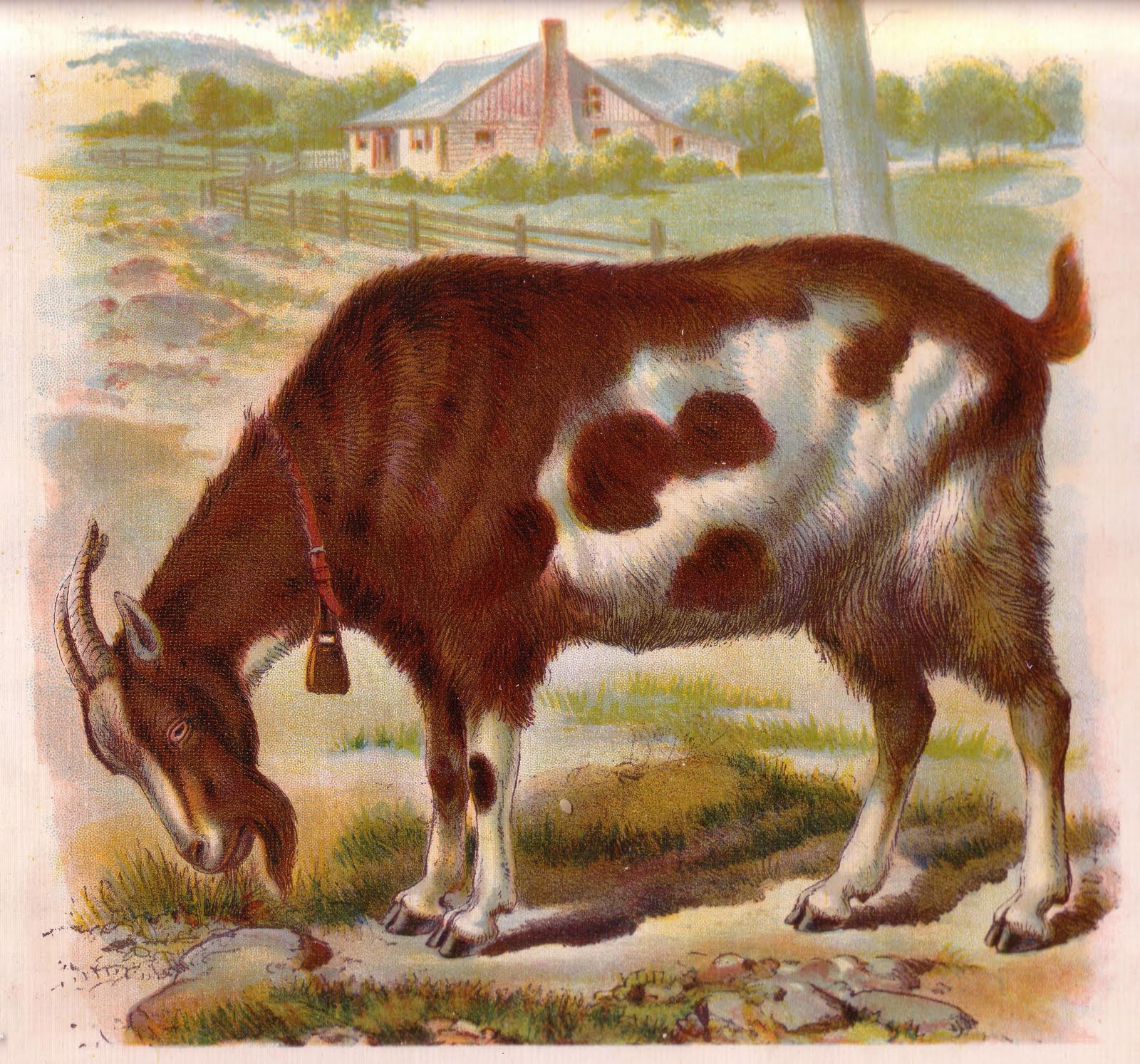 [Scan10028.jpg]