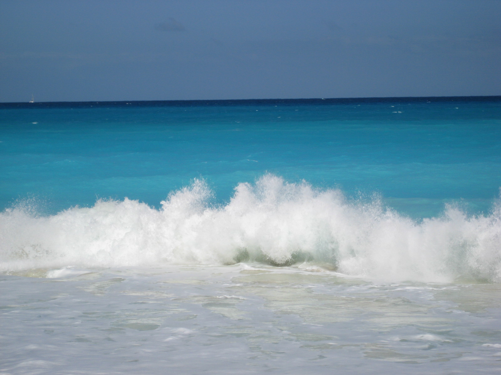 ソーシャルコミュニケーション