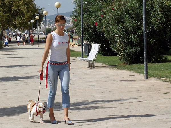 Paseando+al+perro.jpg