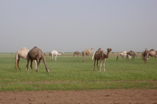[P1050133.jpg]