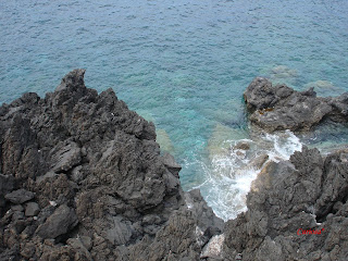 DSC08227.JPG