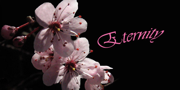 ETERNITY