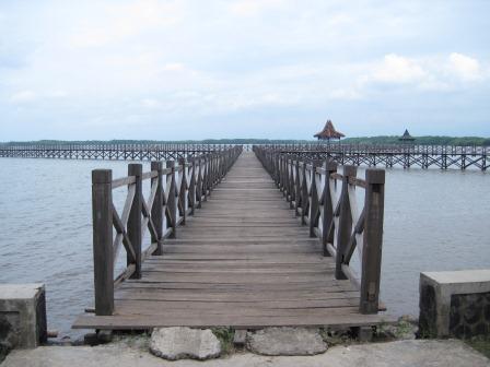 Hiu Tutul Berkeliaran di Pantai Bentar - Berlibur Yuk