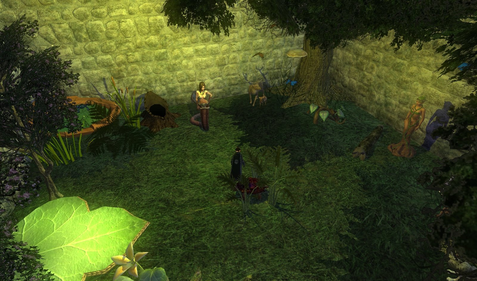 [EQ2_000046.jpg]