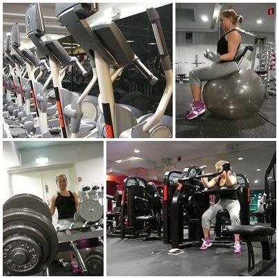 [träning+15+jan+1.jpg]