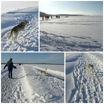 ANDRA+Sabina+i+sn%C3%B6n - 100 minuters solig promenad på isen