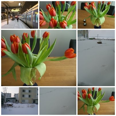 [längtar+till+våren.jpg]