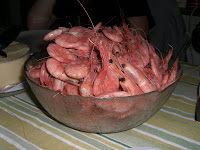 CIMG5940 - Om proteiner och varför vi behöver dem