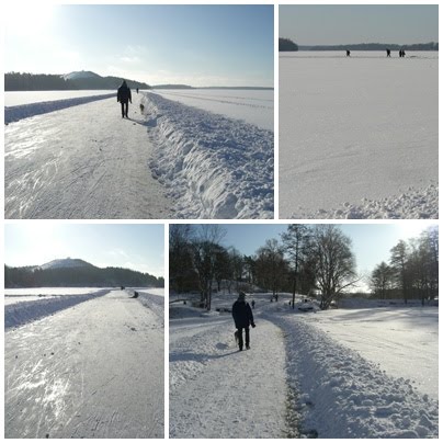 [TREDJE+is+och+land.jpg]