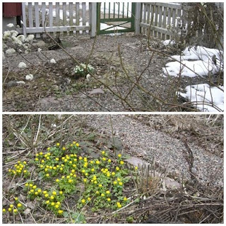 V%C3%A5rtecken+i+Link%C3%B6ping - Mysig dag i Linköping med påskmarknad, vårtecken, god lunch och Beach 2010 tips nr 5