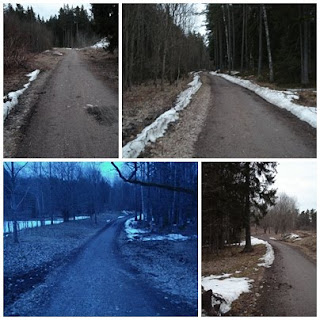 Premi%C3%A4r+f%C3%B6r+skogsv%C3%A4gen - Premiär på skogsvägen för både powerwalk och löpning