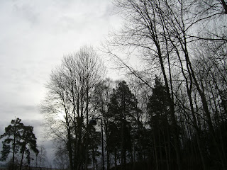 CIMG7817 - Med hopp om bra väder idag