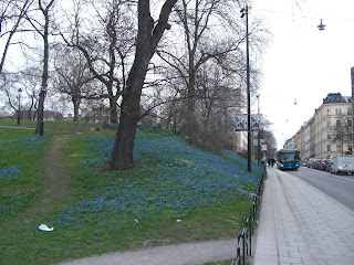 CIMG7928 - Det blev ett långsamt återhämtningspass