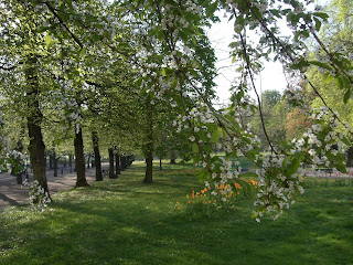 CIMG8259 - Underbar vårmorgon i Stockholm