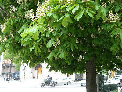 CIMG8273 - Härlig start med morgonpromenaden