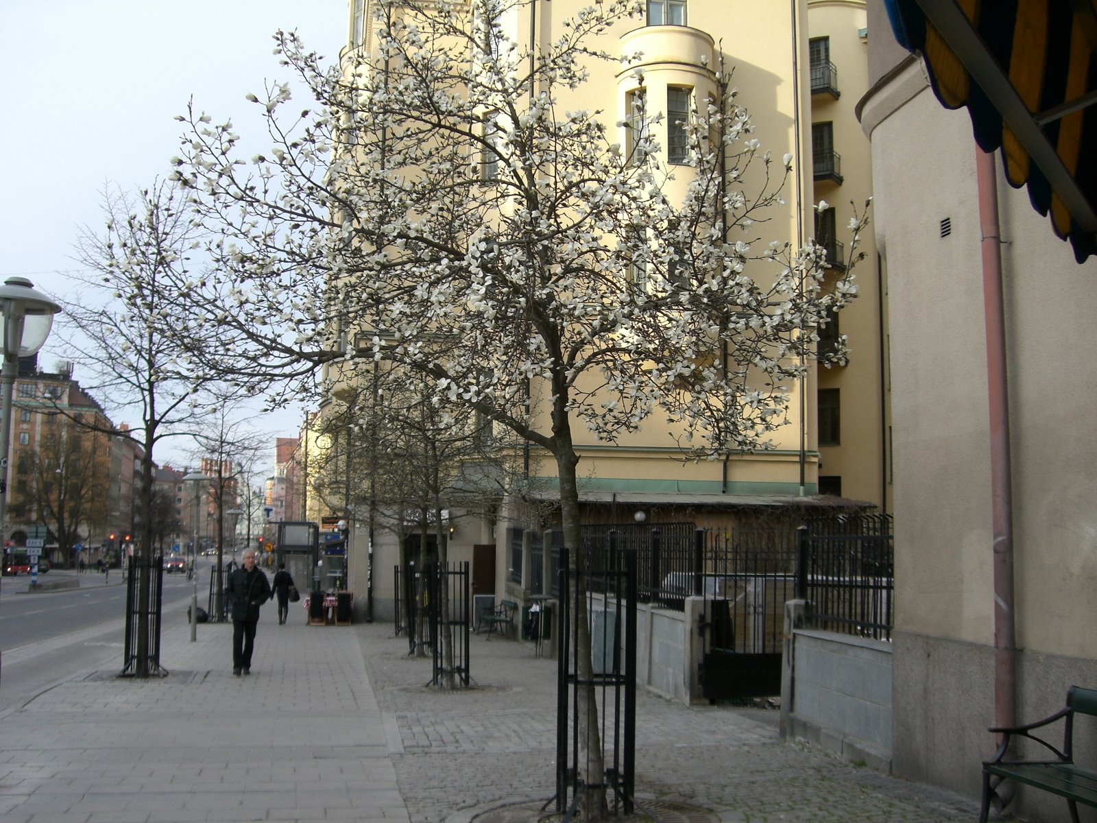 [mixture+picture+March2009+258.jpg]