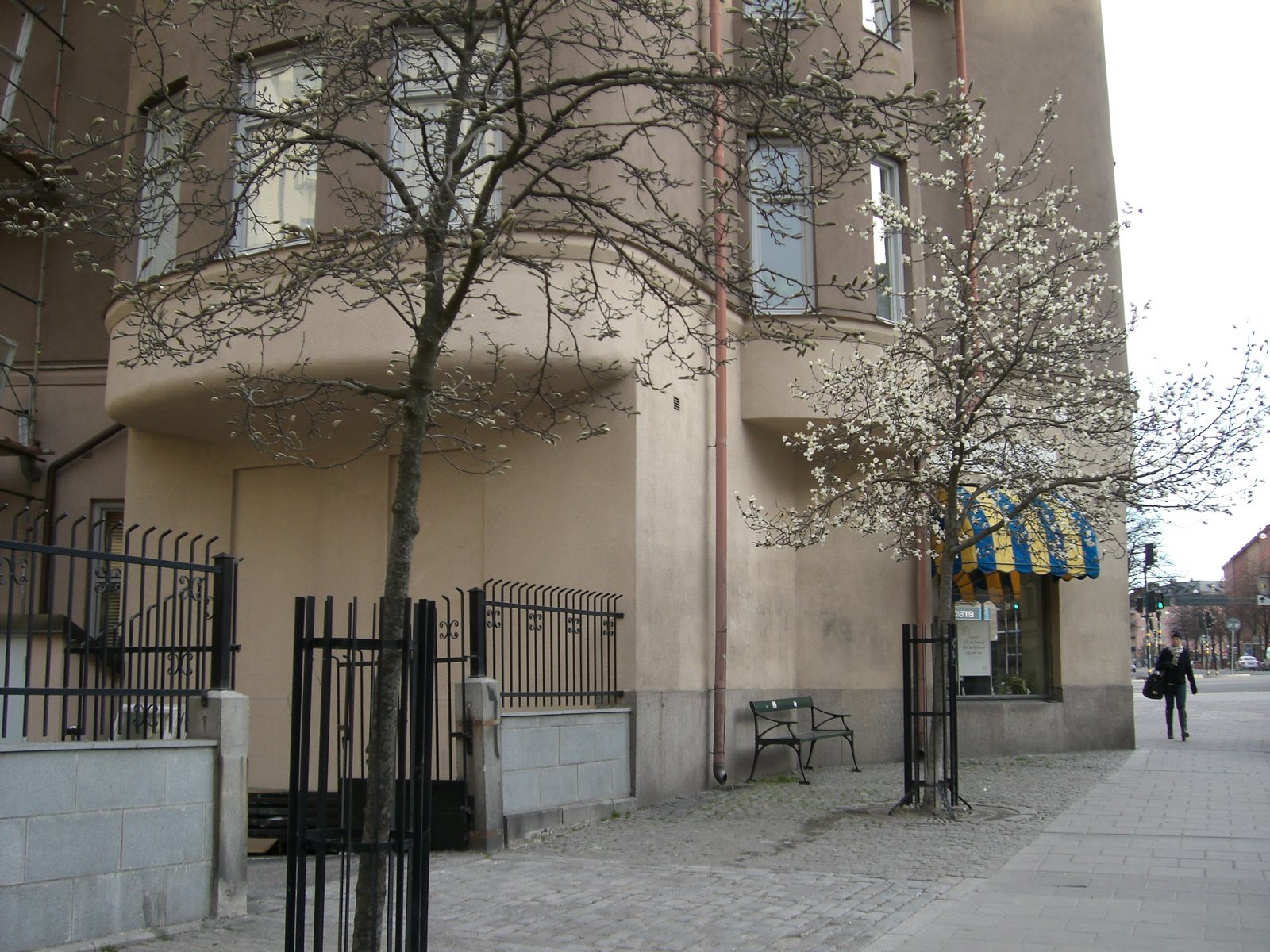 [mixture+picture+March2009+257.jpg]