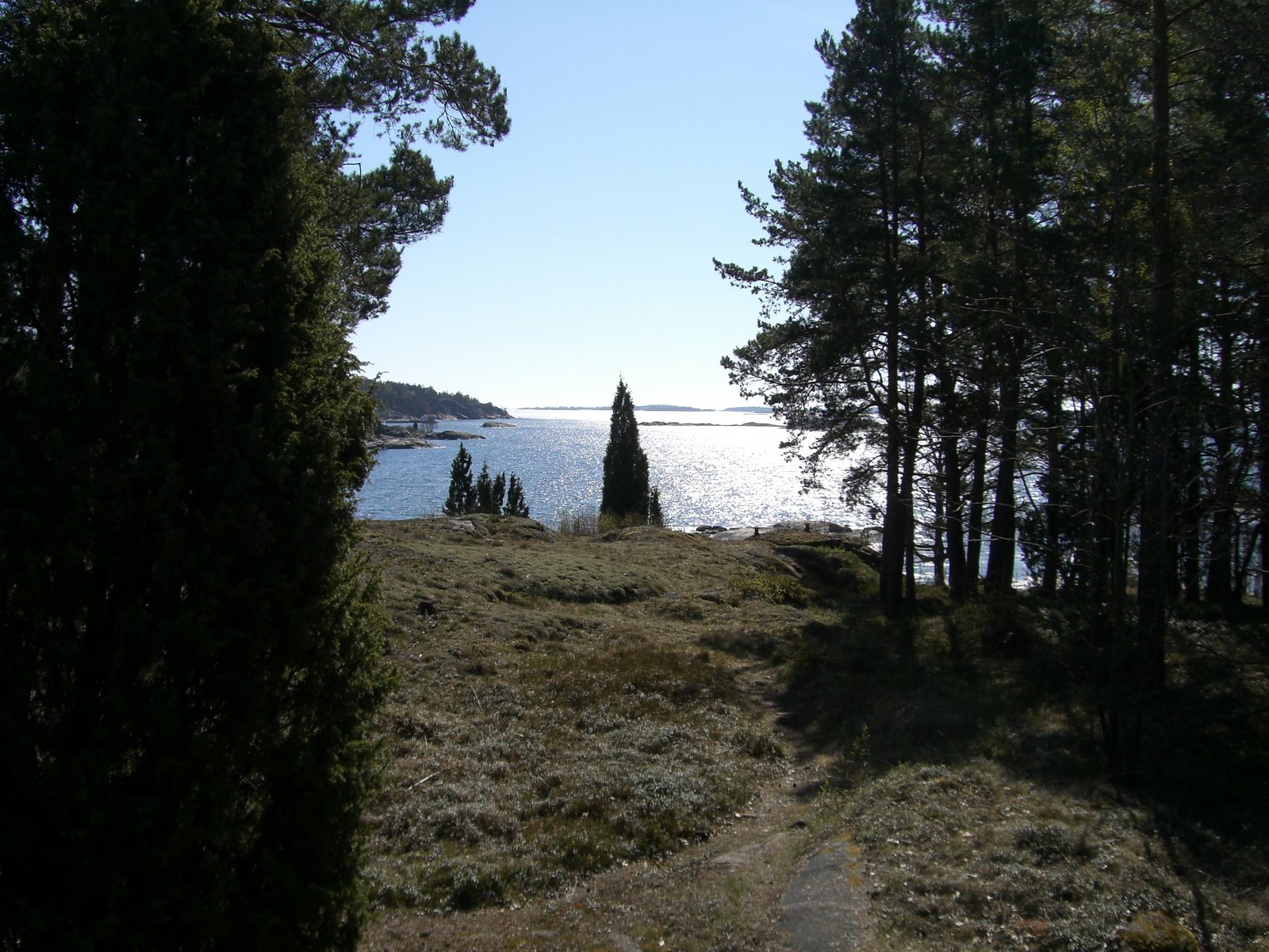 [mixture+picture+March2009+279.jpg]