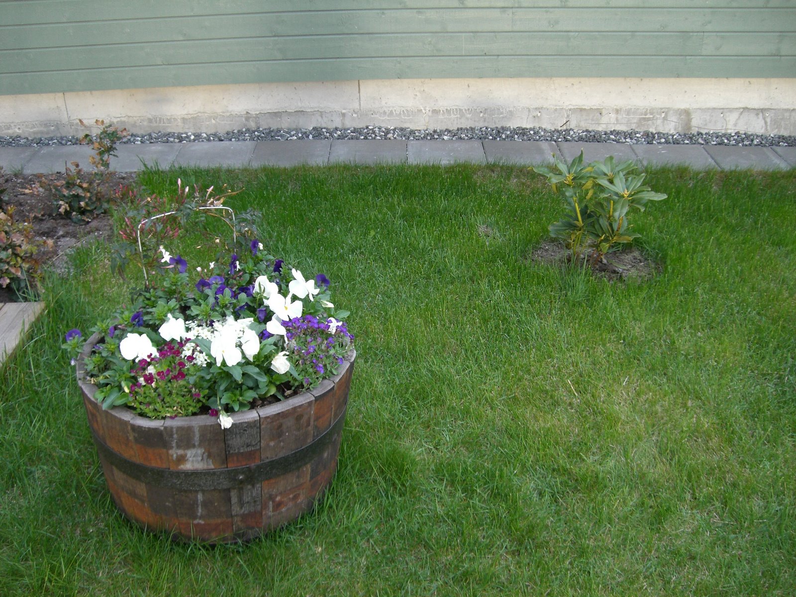 [mixture+picture+March2009+312.jpg]