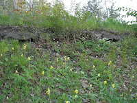 mixture+picture+March2009+307 - Frisk luft och våren ger mig energi