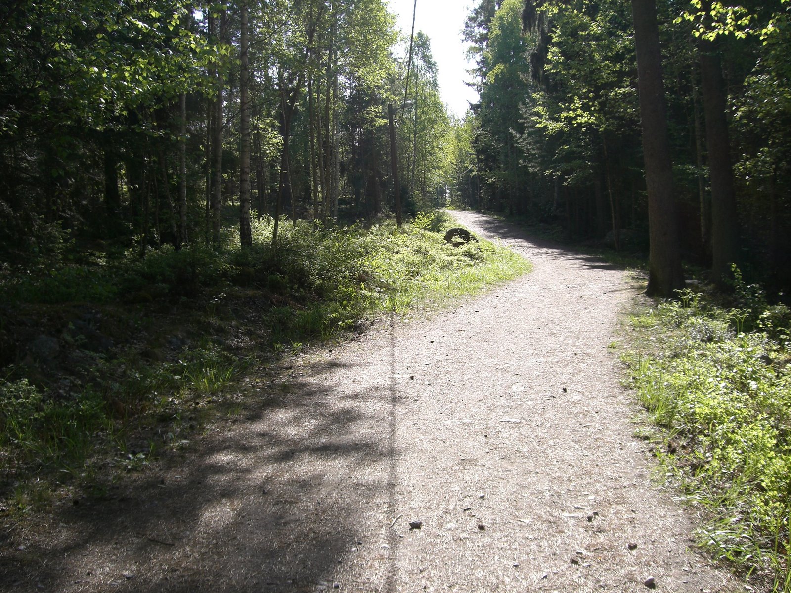 [mixture+picture+March2009+372.jpg]