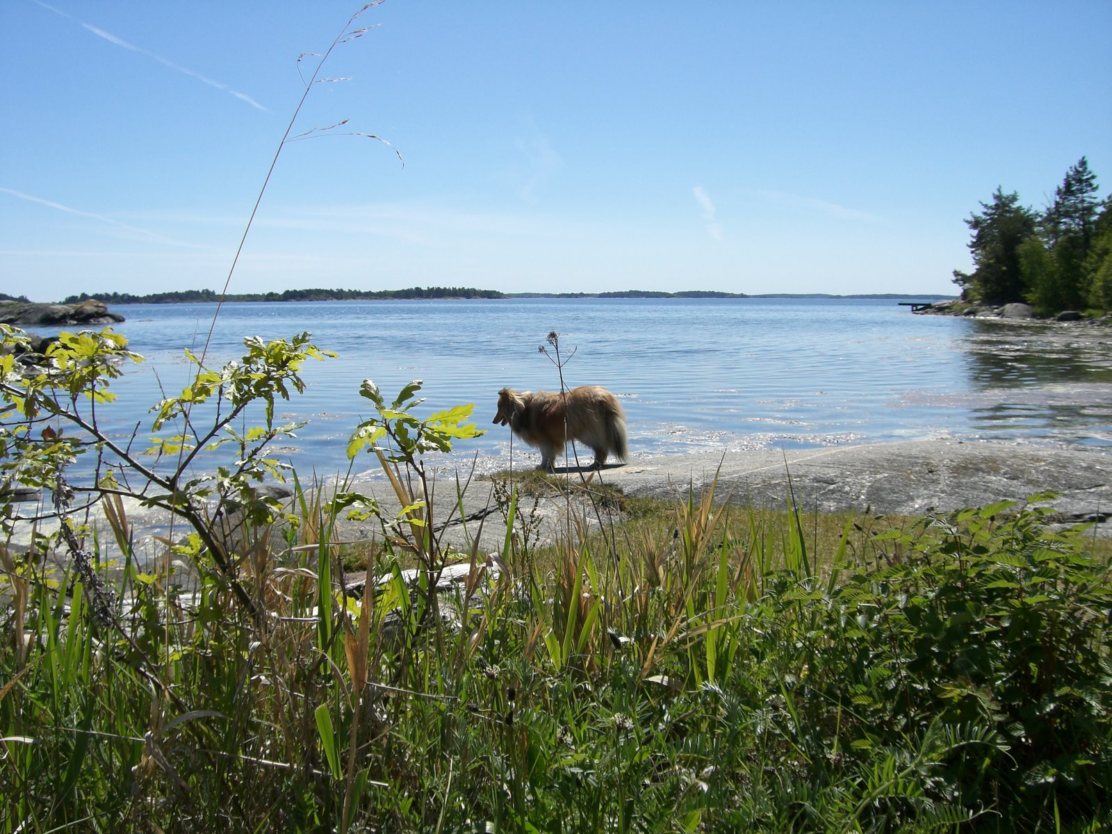 [lindas+land+019.jpg]