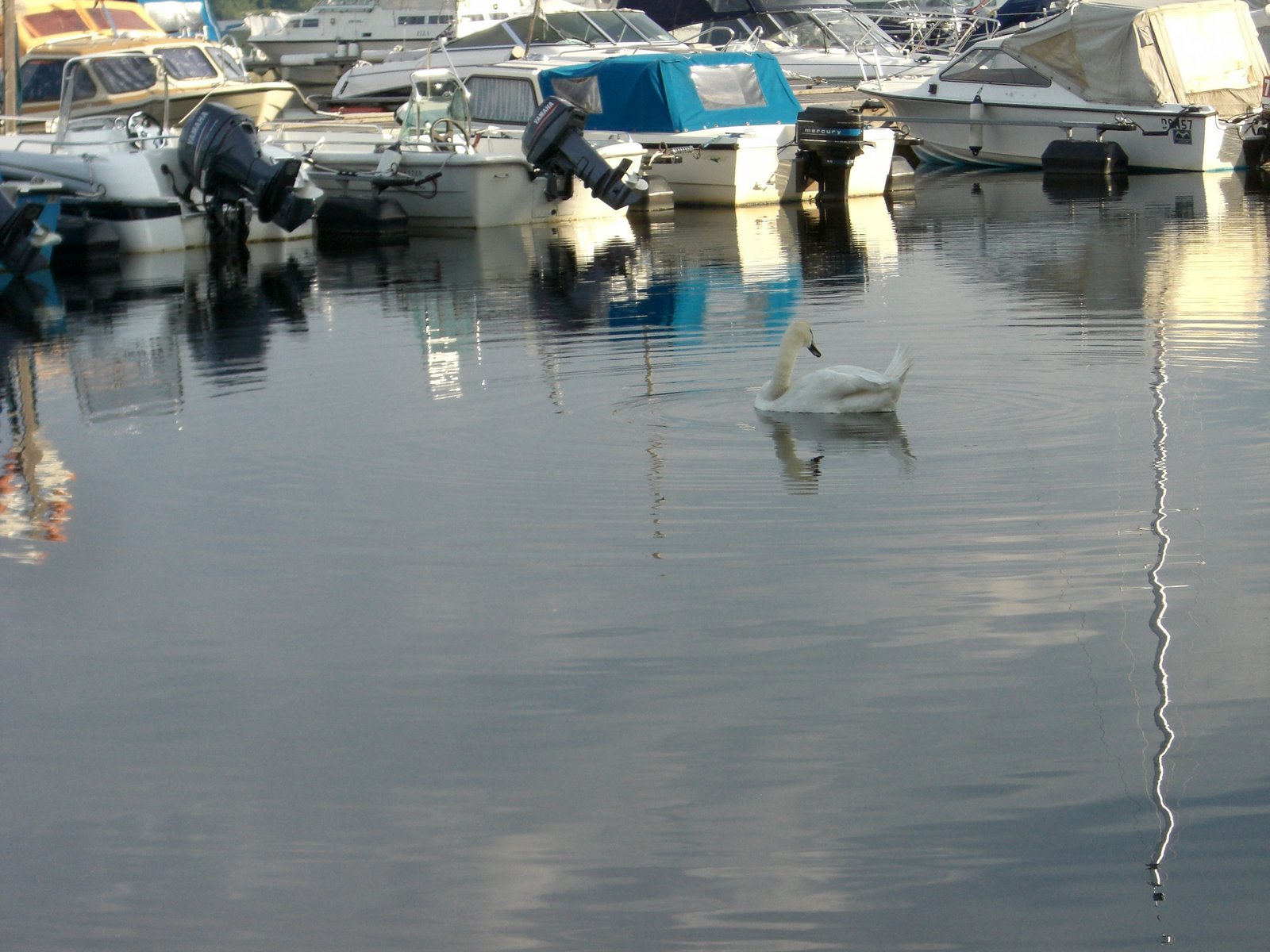 [mprom+3+juli+027.jpg]