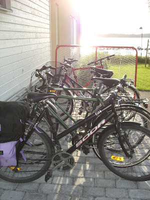 Hannas+%26+Simons+br%C3%B6llop+och+annat+308 - Kossor längs min cykelväg