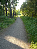 cykelv%C3%A4g+hem+003 - Solig cykelväg hem