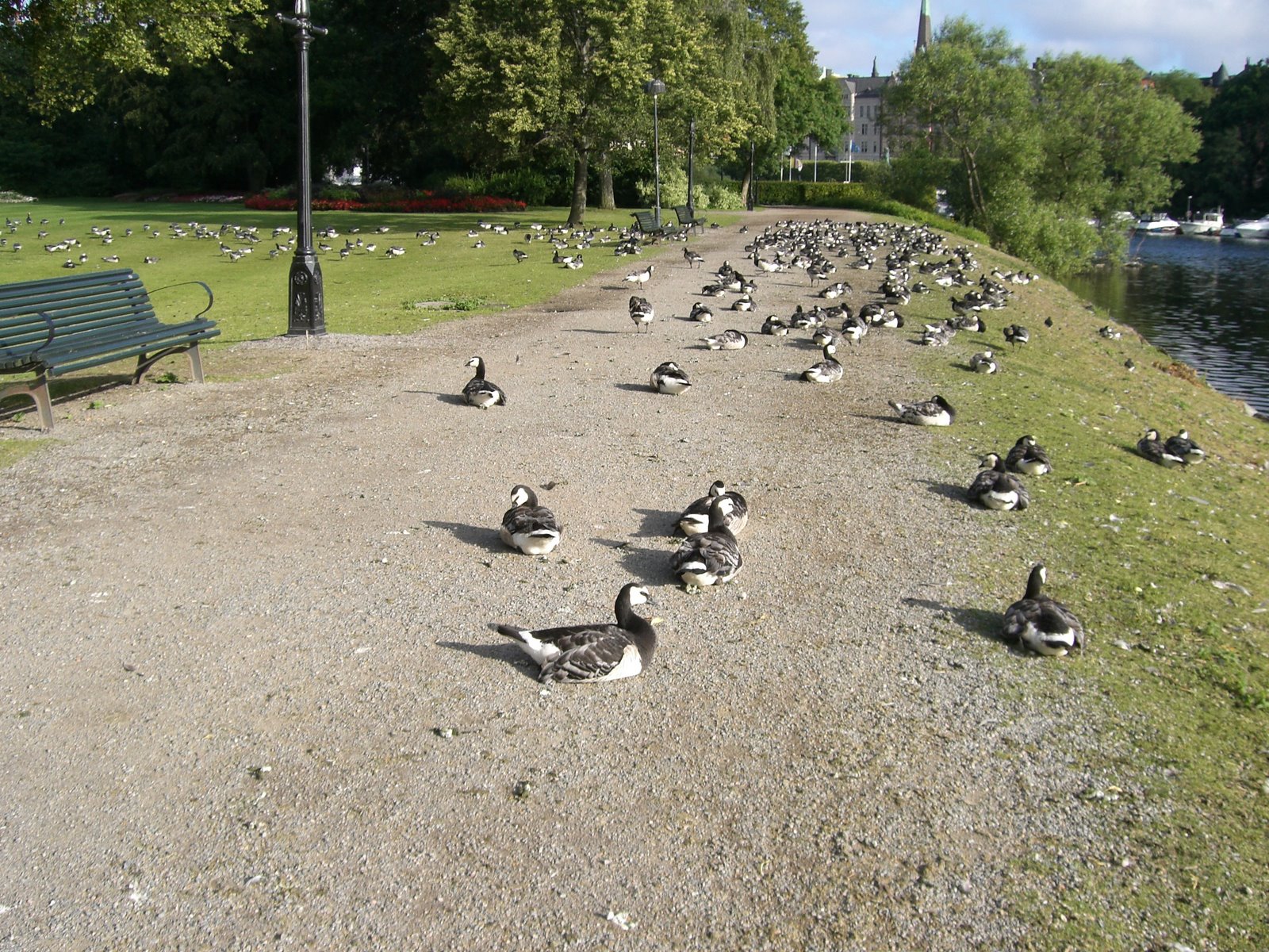 [jogging+på+djurgårn+005.jpg]