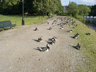 jogging+p%C3%A5+djurg%C3%A5rn+005 - Jogging på Djurgårn