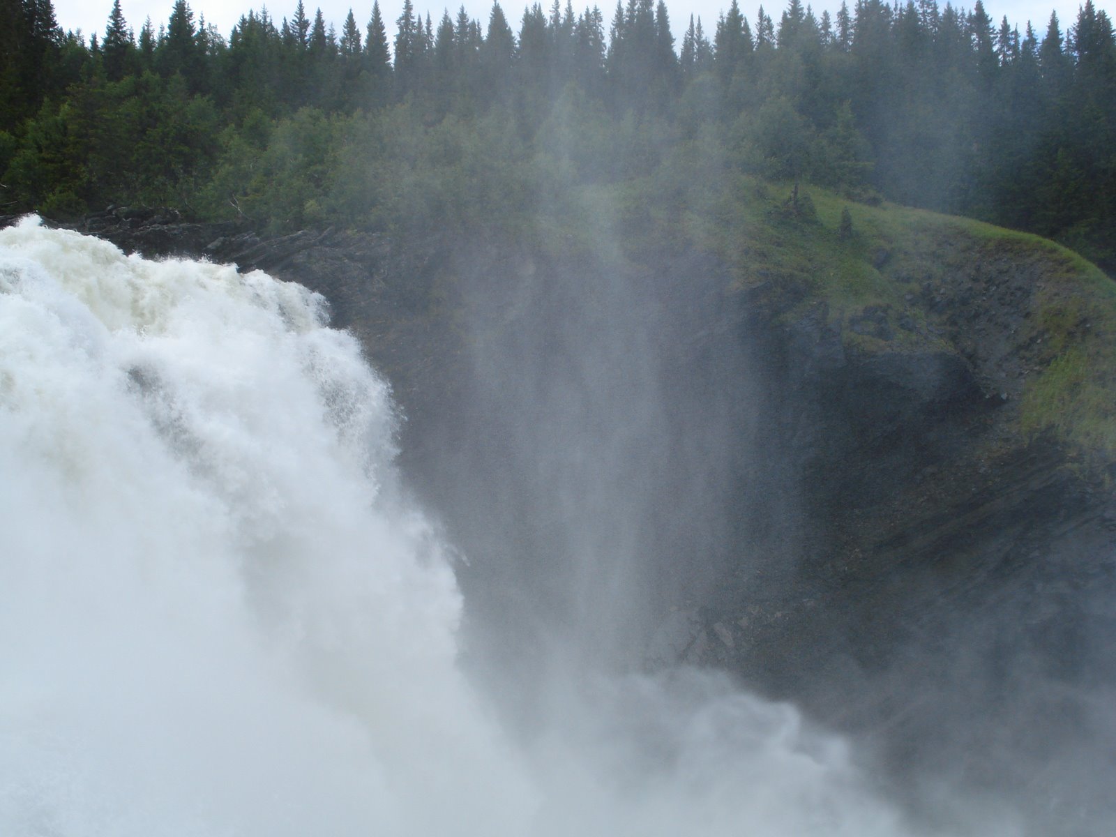 [mixture+picture+March2009+167.jpg]