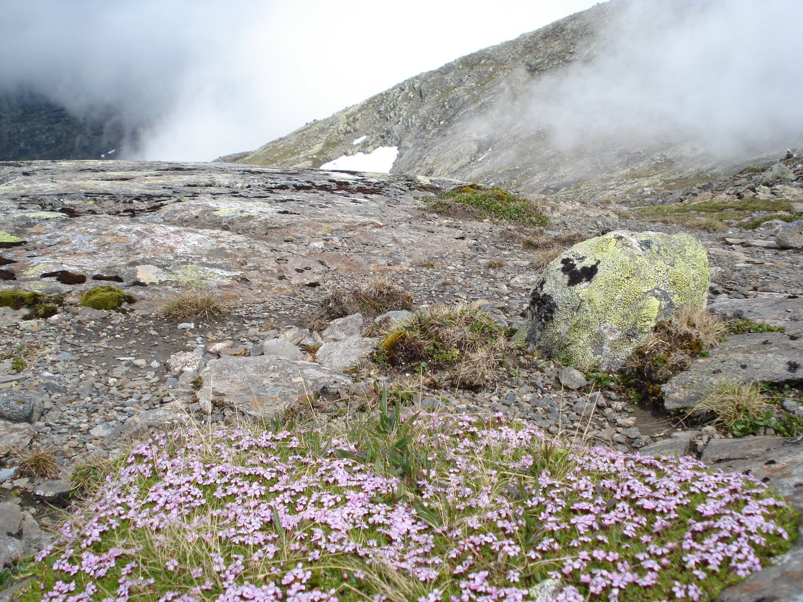 [mixture+picture+March2009+145.jpg]