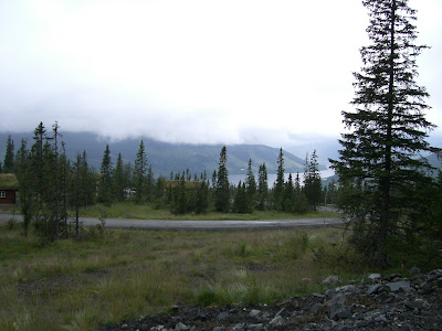morgonpromenad+%C3%A5re+018 - Morgonpromenad i ett regnigt Åre