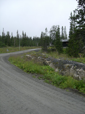 morgonpromenad+%C3%A5re+005 - Morgonpromenad i ett regnigt Åre
