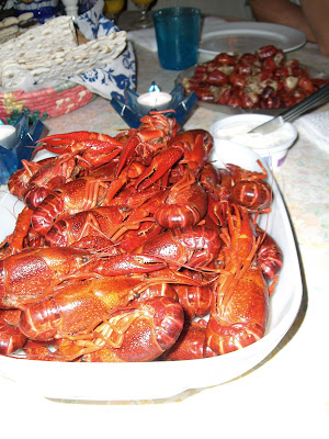 CIMG4497 - Härlig helg på landet