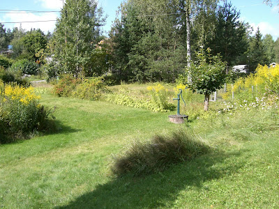 CIMG4504 - Härlig helg på landet