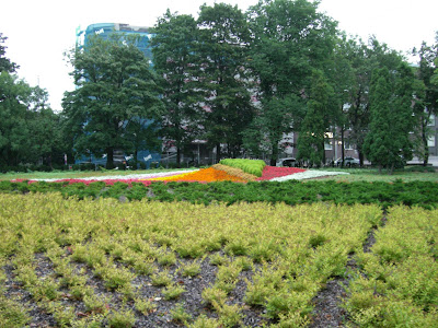 CIMG4573 - Promenad och jogging i Tallinn