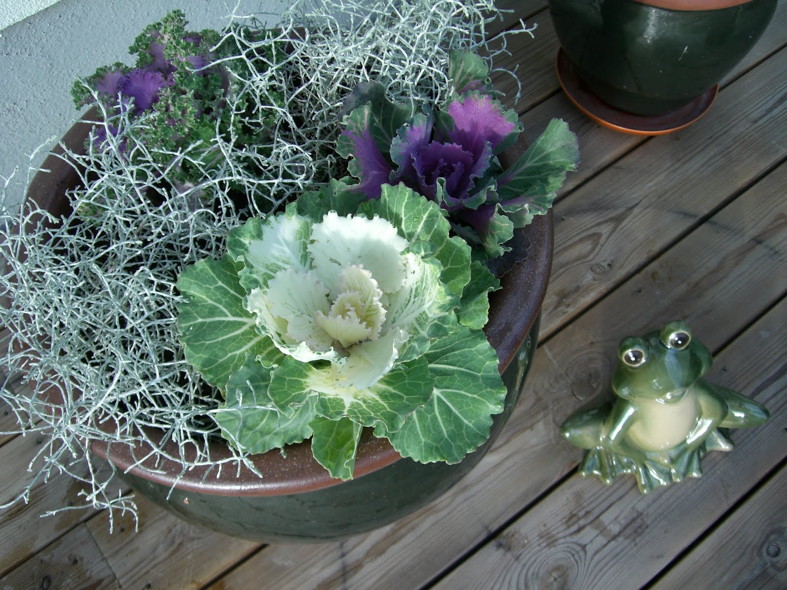 [höstblommor+och+tortilla+003.jpg]