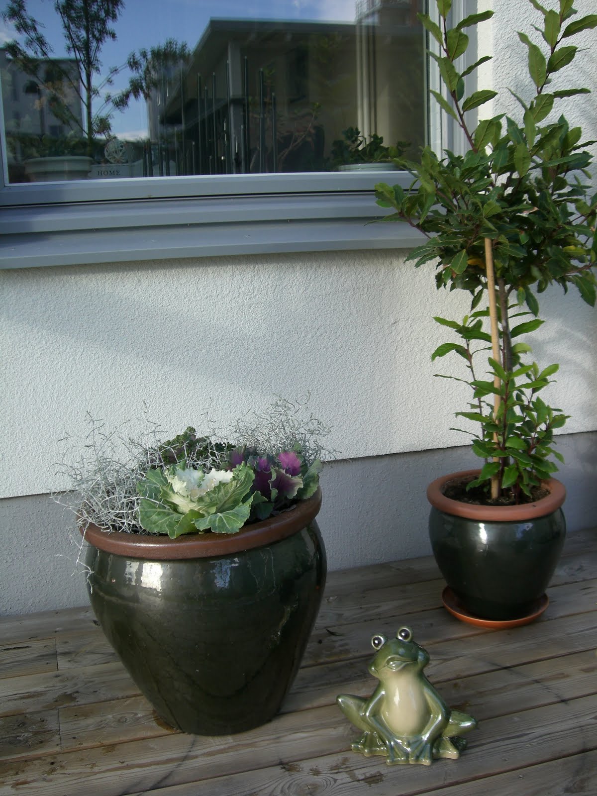 [höstblommor+och+tortilla+005.jpg]