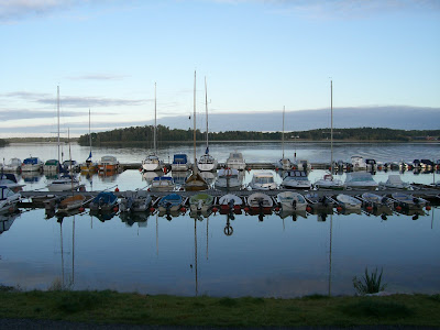 CIMG4738 - Morgonstund har guld i mund