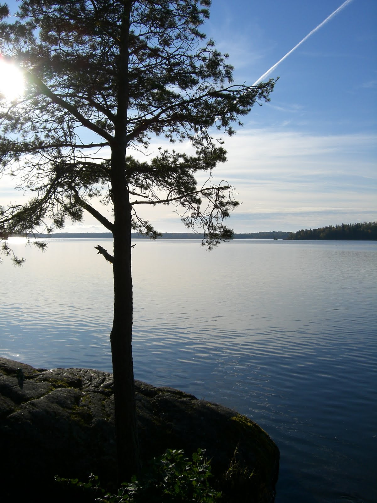 [mixture+picture+March2009+077.jpg]