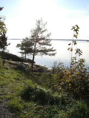 mixture+picture+March2009+075 - Underbar höstdag