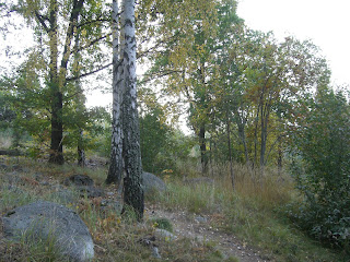 CIMG5017 - Höstpromenad i Kallhäll